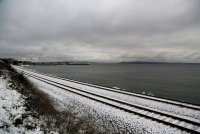 IMG_0008.jpg