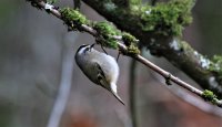 IMG_0001.jpg