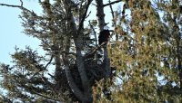 IMG_0003.jpg