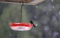 IMG_0004.jpg