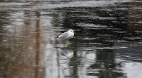 IMG_0002.jpg