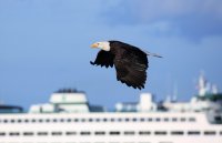 IMG_0002.jpg