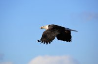 IMG_0003.jpg