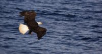 IMG_0006.jpg