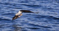 IMG_0007.jpg