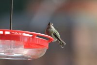 IMG_0003.jpg