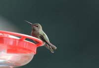 IMG_0004.jpg