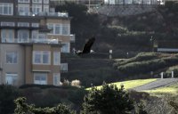 IMG_0002.jpg