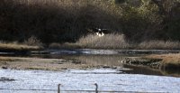 IMG_0003.jpg