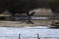 IMG_0005.jpg