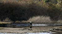 IMG_0007.jpg