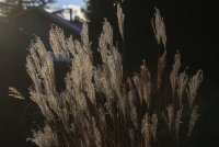 IMG_0001.jpg