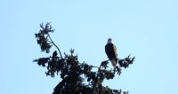 IMG_0002.jpg