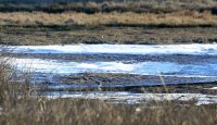 IMG_0005.jpg