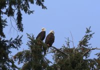 IMG_0001.jpg