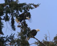 IMG_0002.jpg