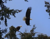 IMG_0003.jpg