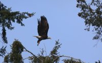 IMG_0004.jpg