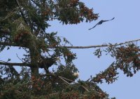IMG_0005.jpg