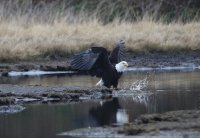 IMG_0004.jpg