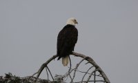IMG_0017.jpg