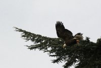 IMG_0003.jpg