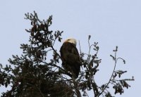 IMG_0005.jpg