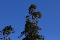 IMG_0001.jpg