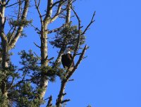 IMG_0002.jpg