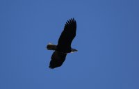 IMG_0003.jpg