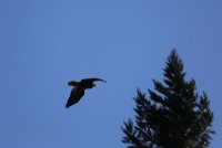 IMG_0004.jpg