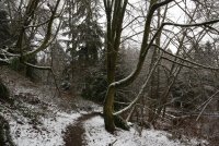 IMG_0001.jpg