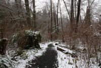 IMG_0003.jpg