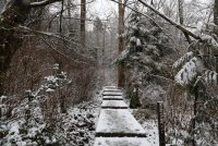 IMG_0005.jpg