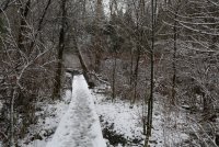 IMG_0006.jpg