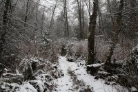 IMG_0007.jpg