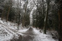 IMG_0009.jpg