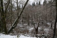 IMG_0010.jpg
