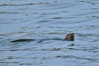 IMG_9913 sm.jpg