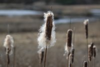 IMG_0002.jpg