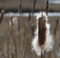 IMG_0004.jpg