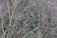 IMG_0001.jpg