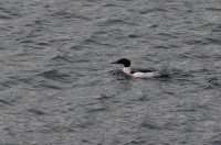 IMG_0002.jpg