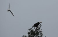 IMG_0001.jpg