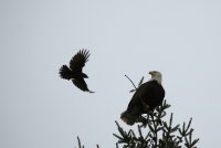 IMG_0002.jpg