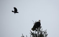 IMG_0003.jpg