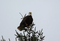 IMG_0004.jpg