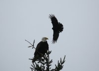 IMG_0005.jpg