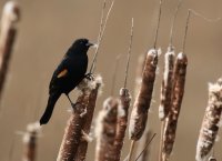 IMG_0002.jpg