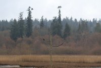 IMG_0001.jpg